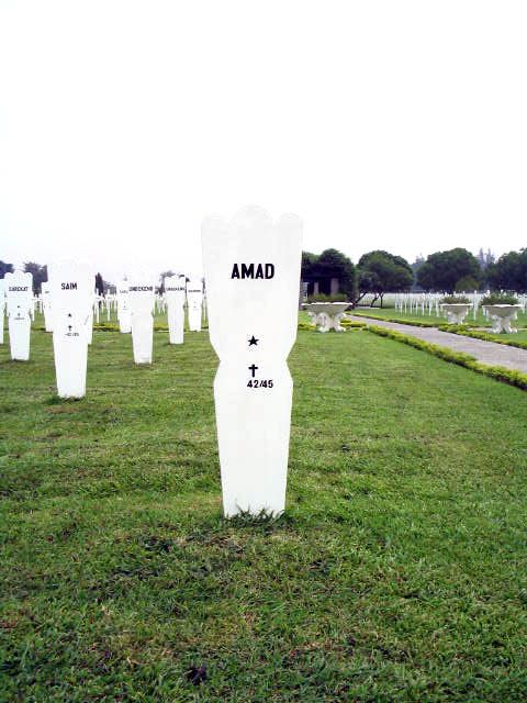 amad.2005.jpg