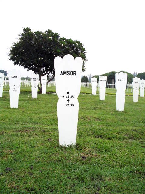 amsor.2005.jpg