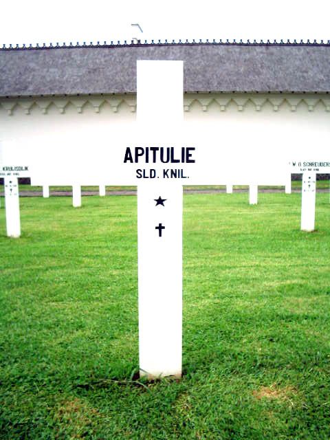 apitulie.2005.jpg