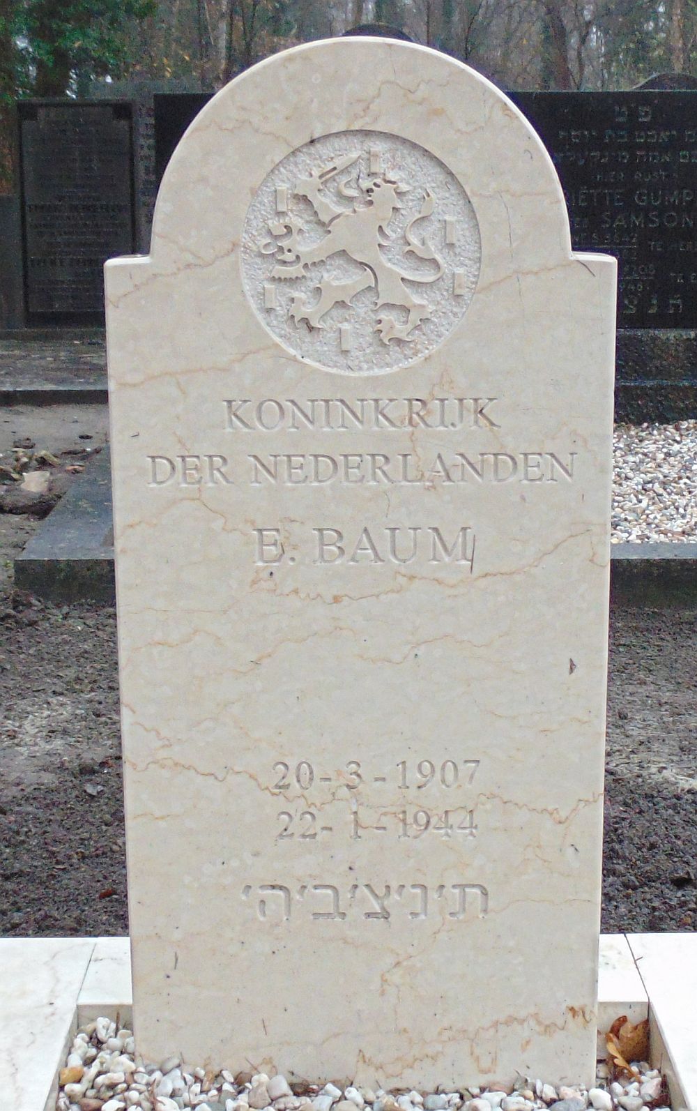 baum.jpg