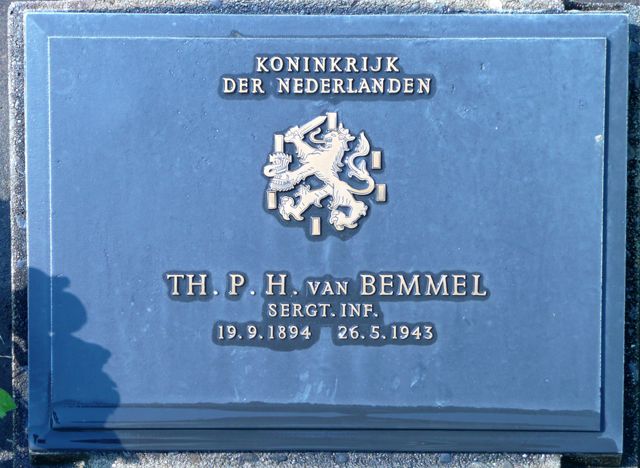 Bemmel.T.P.H.van.2008.jpg