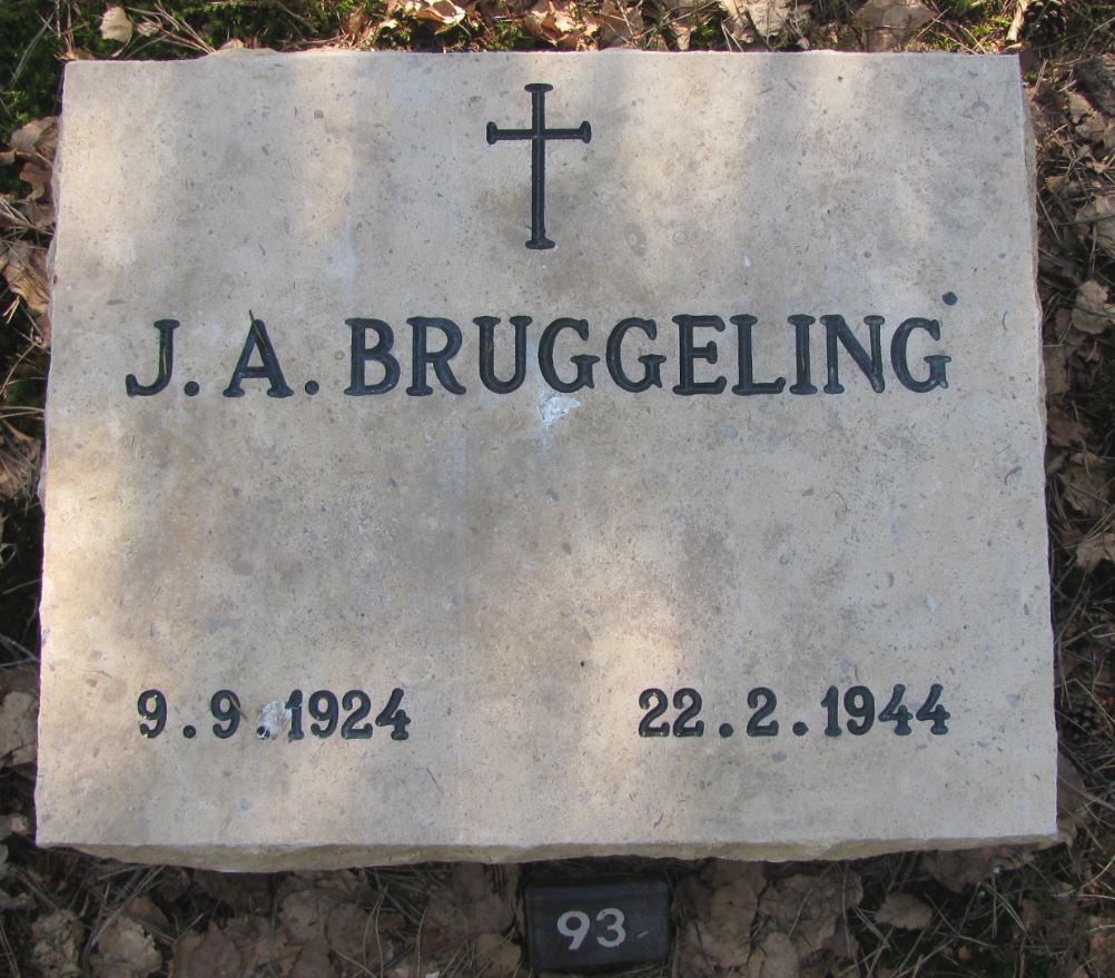 Bruggeling.JPG