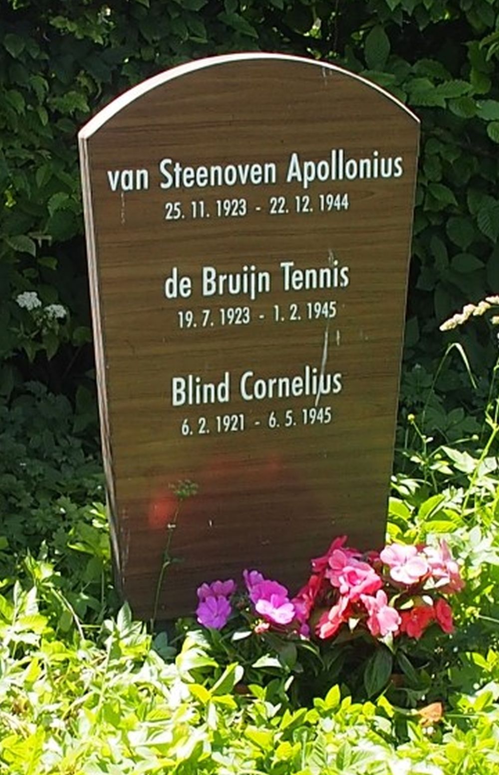steen Regensburg.jpg