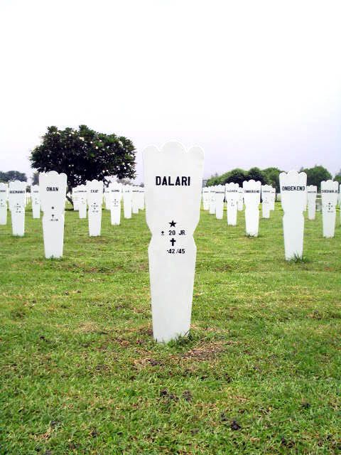 dalari.2005.jpg