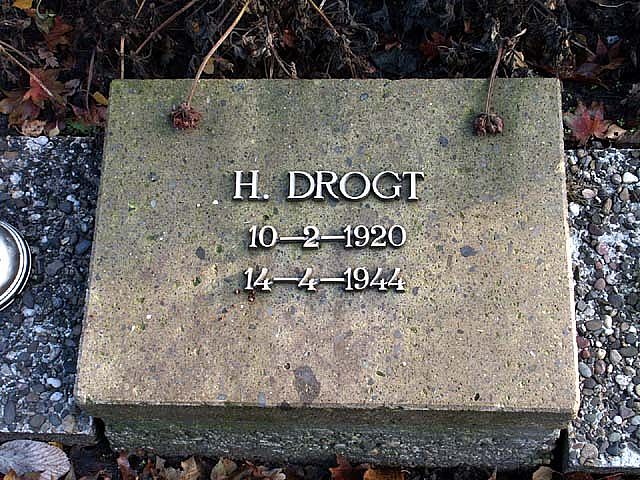Drogt H.jpg