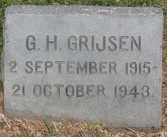 grijsen.g.h.2007.jpg