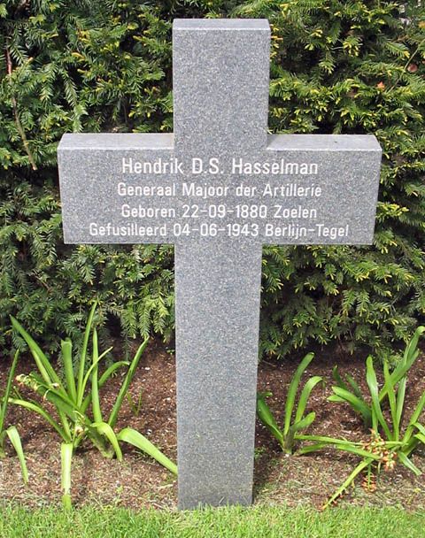 Hasselman D.S.jpg