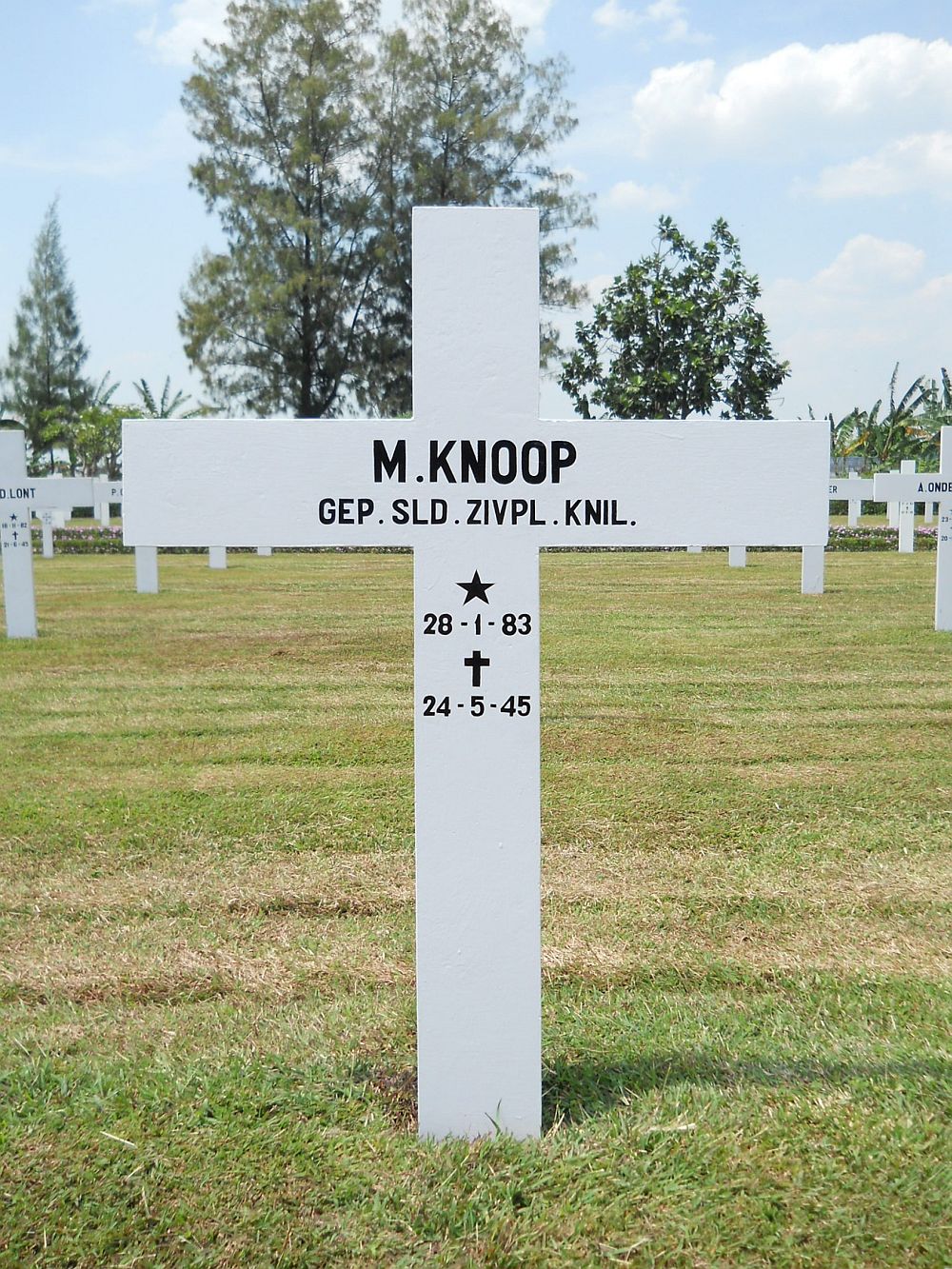 knoop.m.2011.jpg