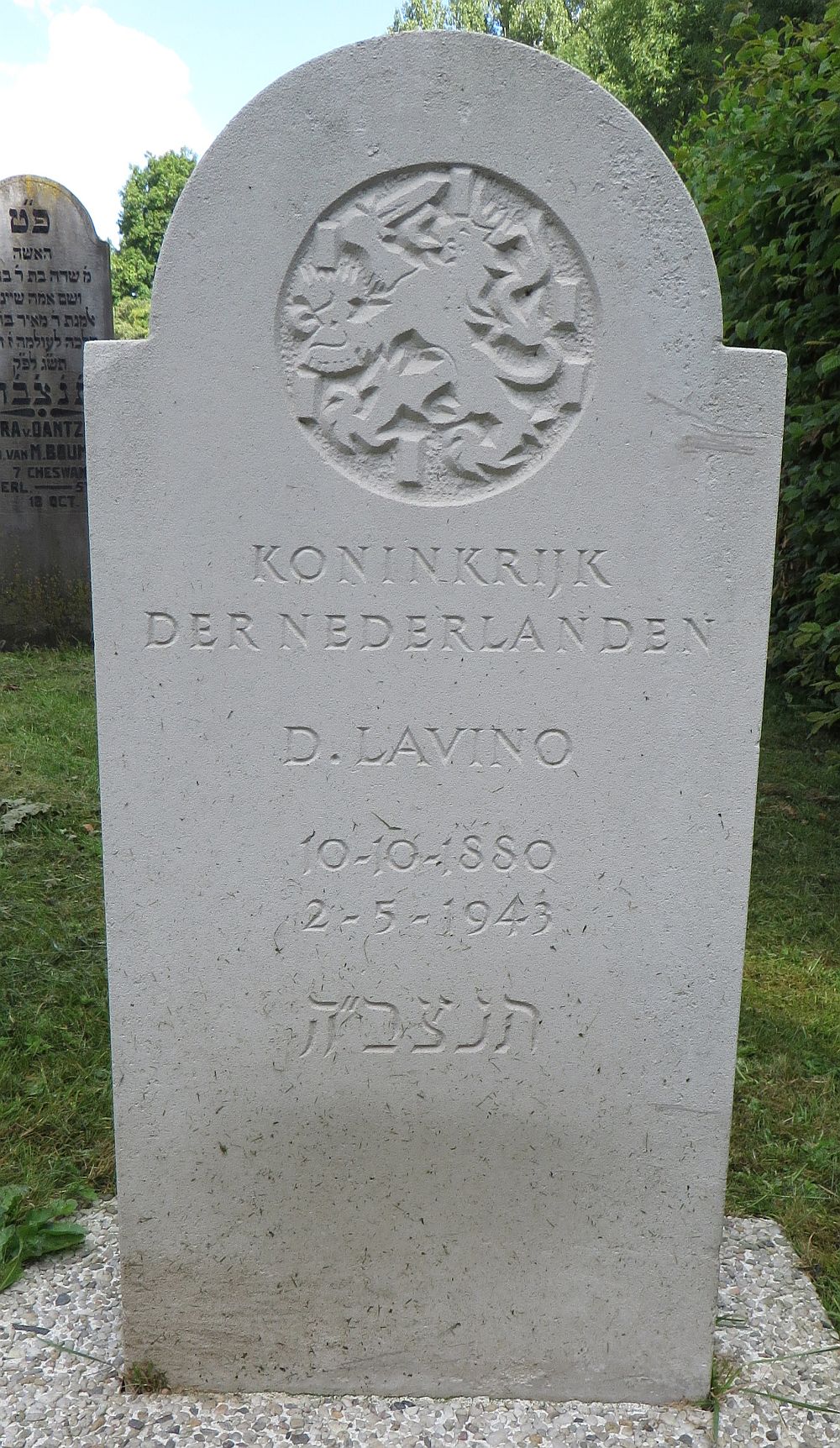 lavino.jpg