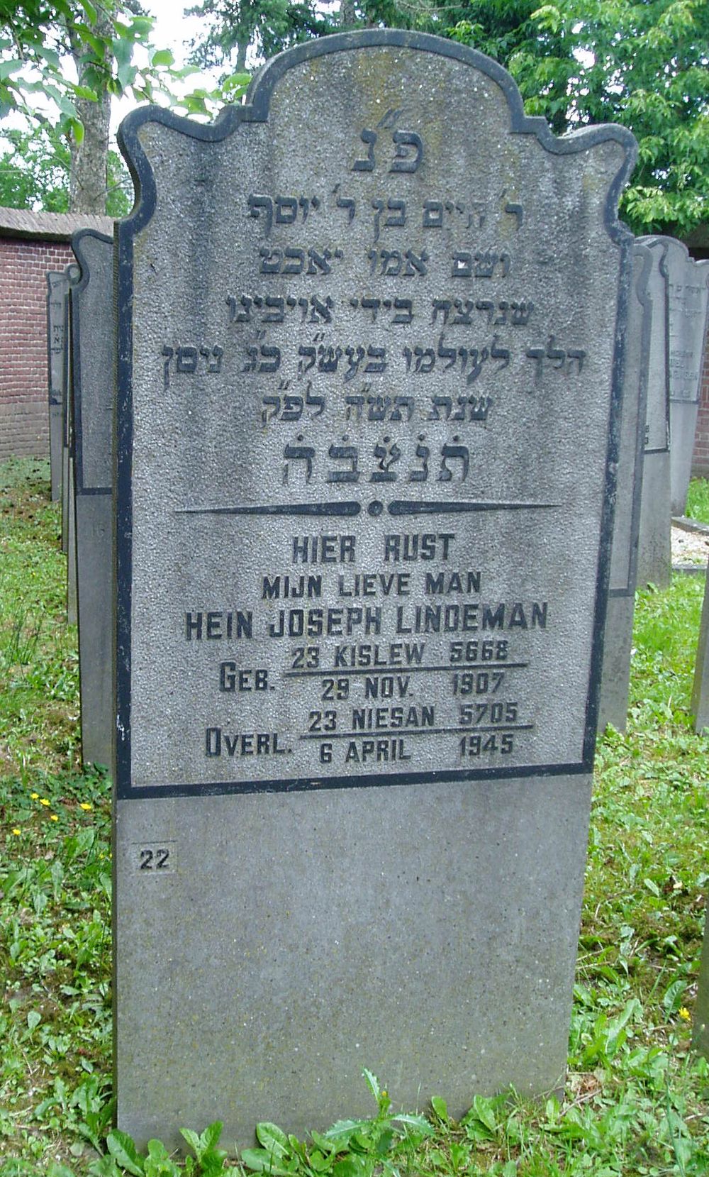 lindeman.jpg
