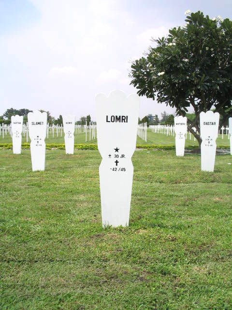 lomri.2005.jpg