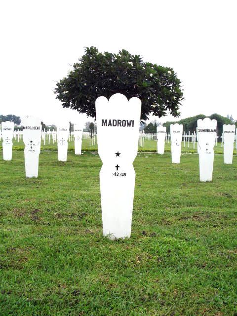 madrowi.2005.jpg
