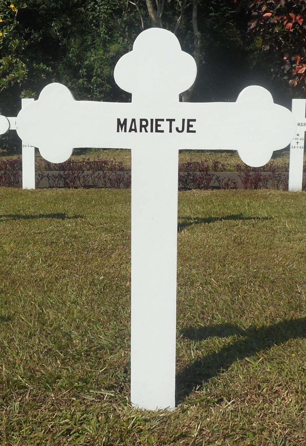 Marietje 099695_.jpg