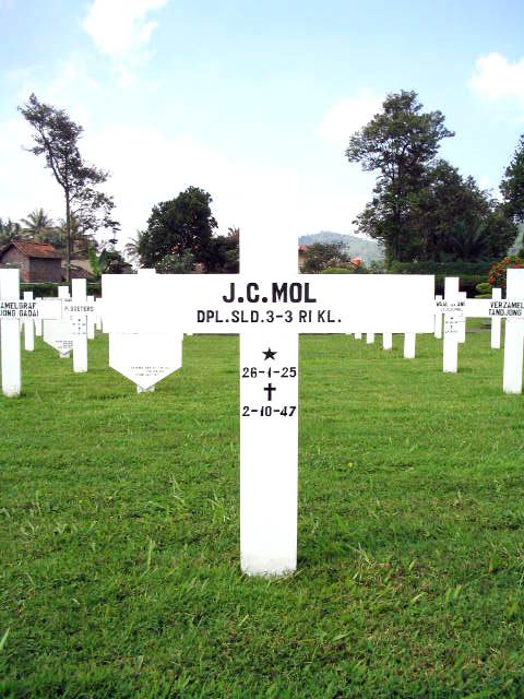 mol.j.c.2005(1).jpg