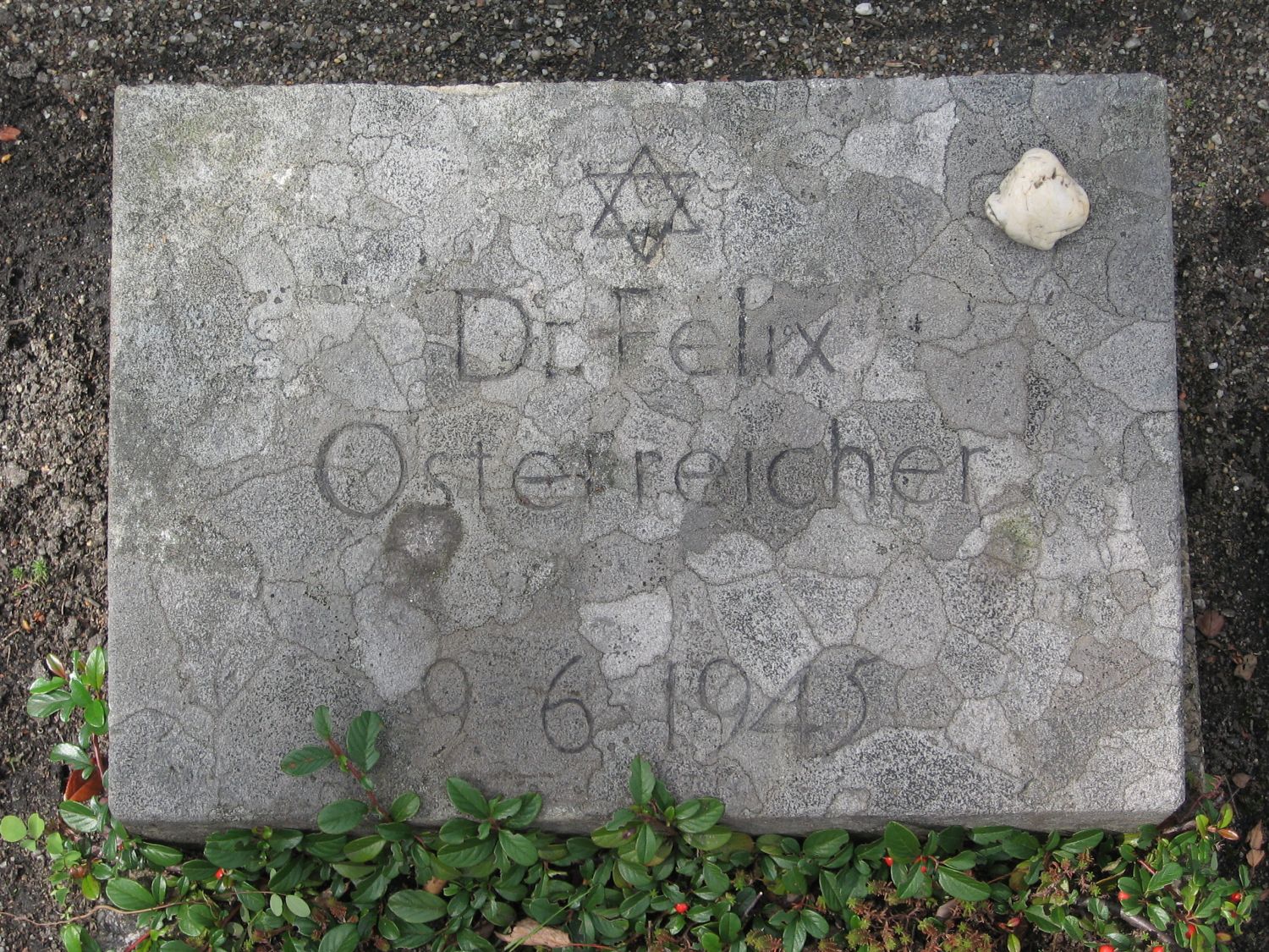 graf oestreicher.jpg