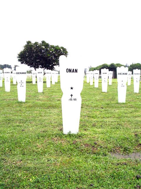 onan.2005.jpg