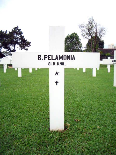 pelamonia.b.2005.jpg