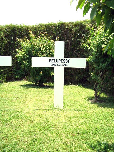pelupessy.2005.jpg