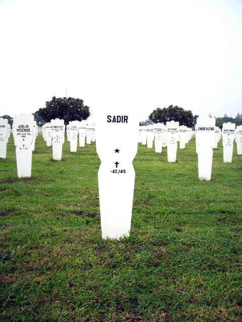 sadir.2005.jpg