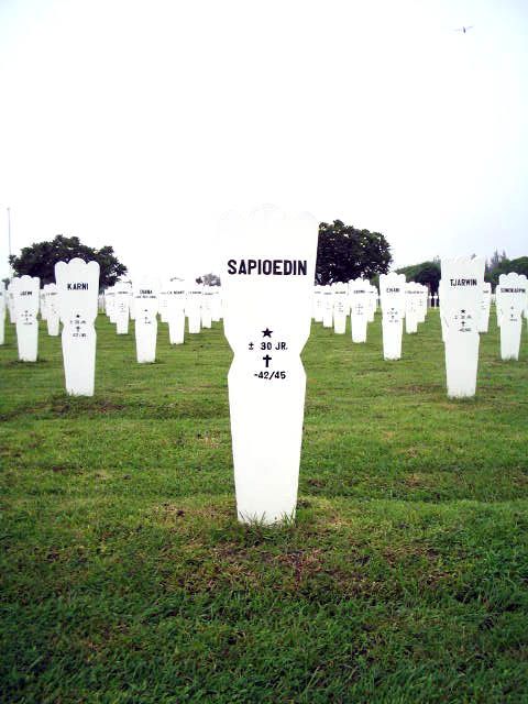 sapioedin.2005.jpg