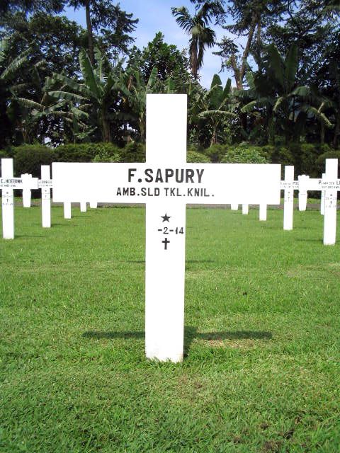 sapury.f.2005.jpg