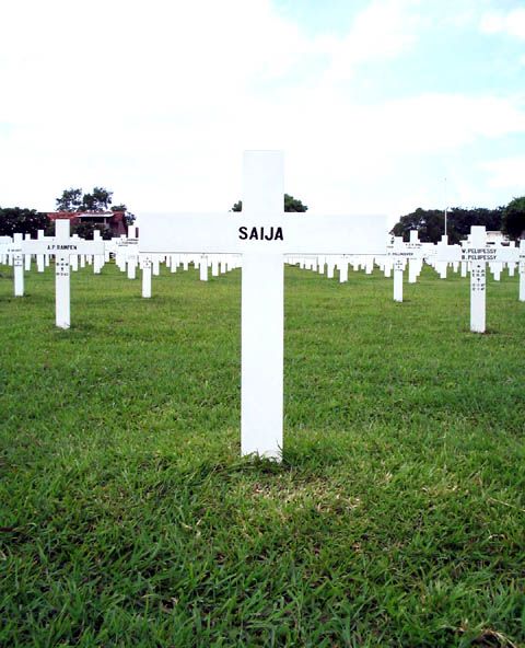 saija.2005.jpg
