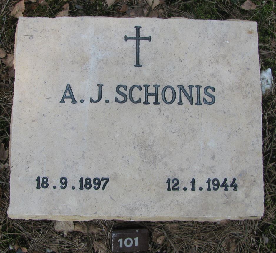 Schonis.JPG