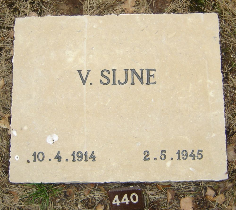 sijne.v.2010.jpg