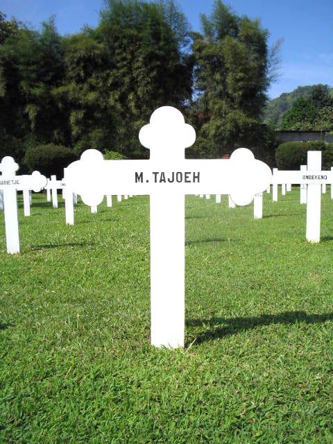 tajoeh.m.2005.jpg