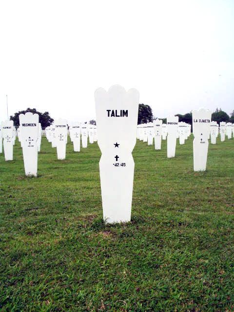 talim.2005.jpg