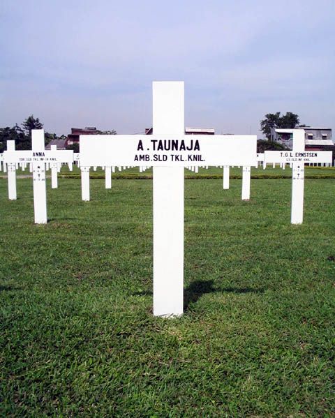 taunaja.a.2005.jpg
