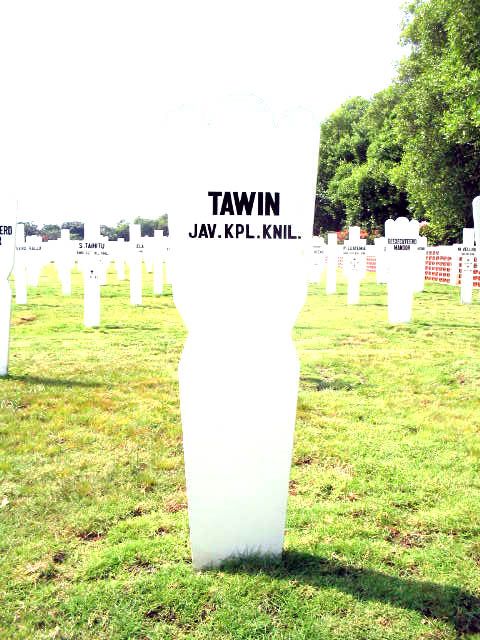 tawin.2005.jpg