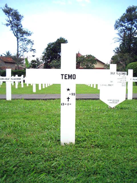 temo.2005.jpg