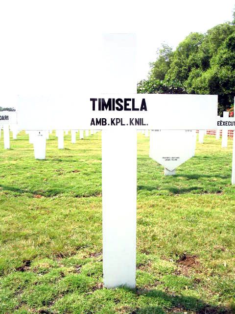 timisela.2005.jpg