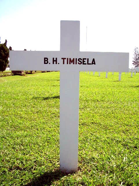 timisela b.h.2004.jpg
