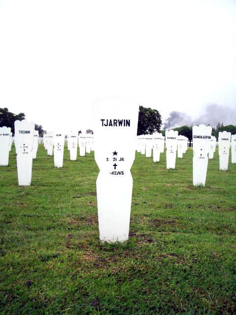 tjarwin.2005.jpg