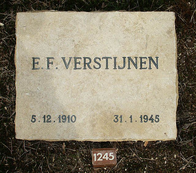 verstijnen.e.f.2006.jpg