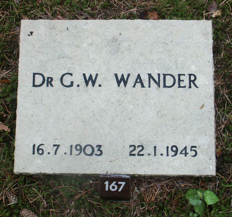 wander.w.g.jpg