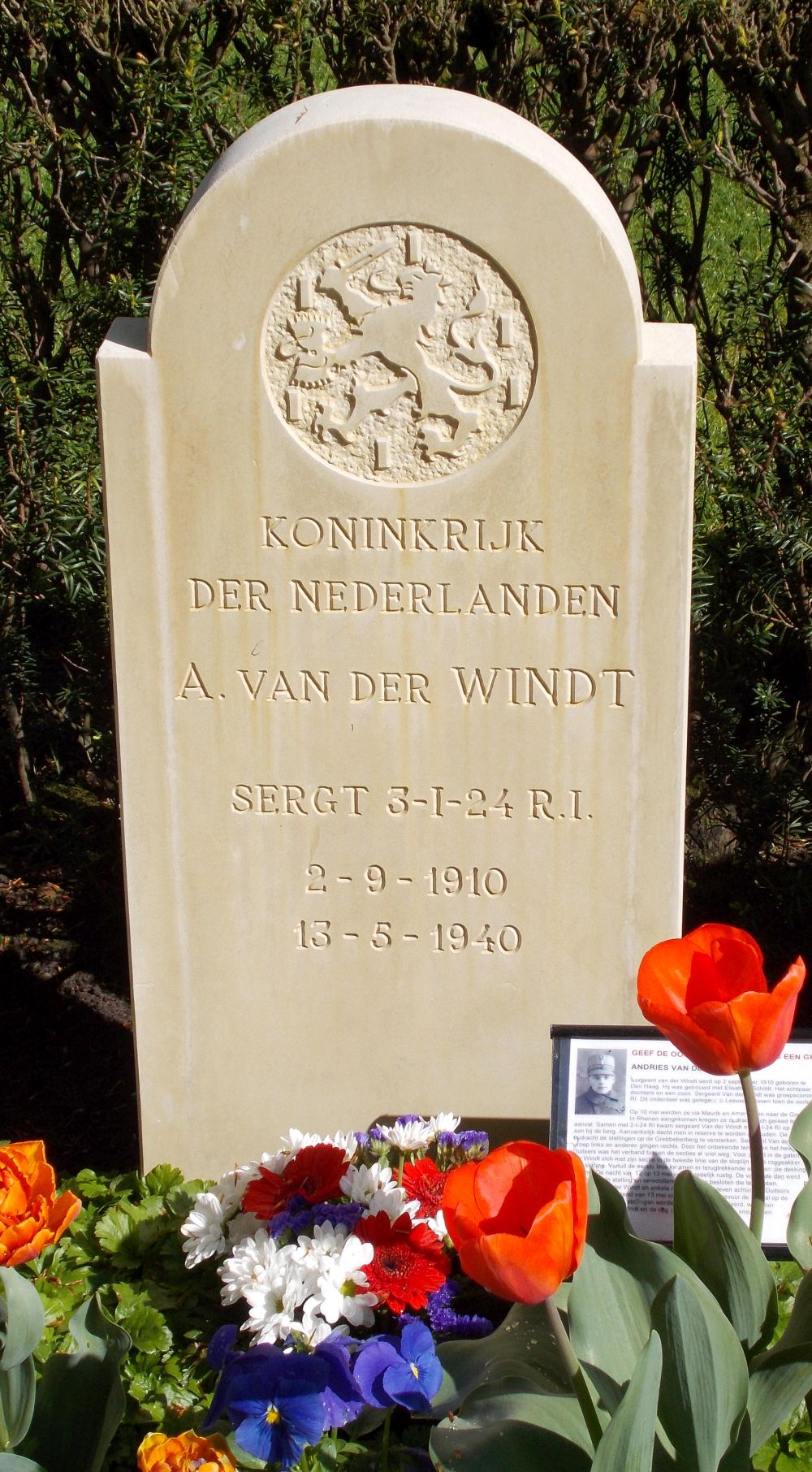 windt.jpg