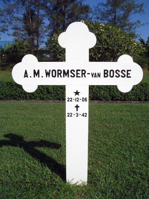 wormser bosse van.a.m.2004.jpg