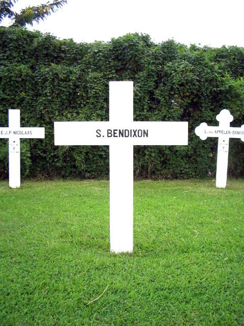 bendixon.s.2005.jpg