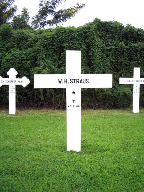 straus.w.h.2005.jpg