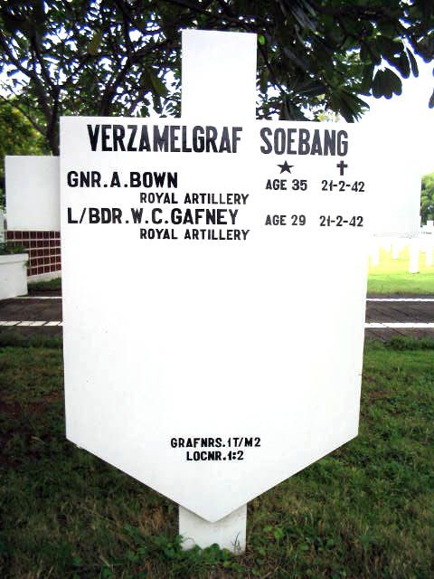 bown.a.2005.jpg