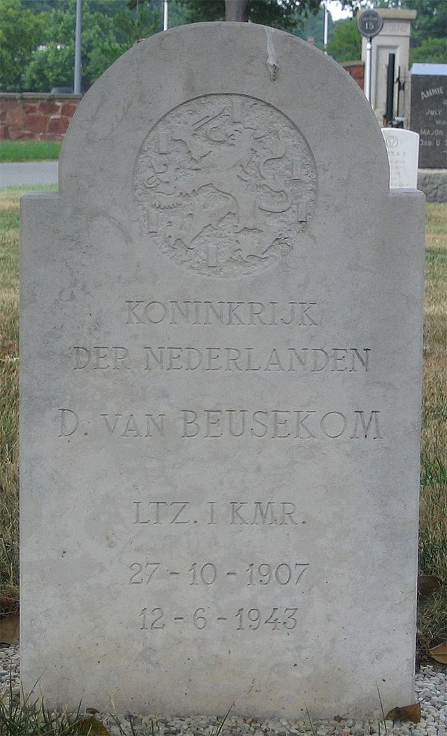 beusekom.d.van.2007(1).jpg