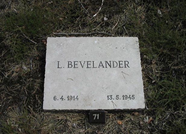 L.Bevelander.jpg