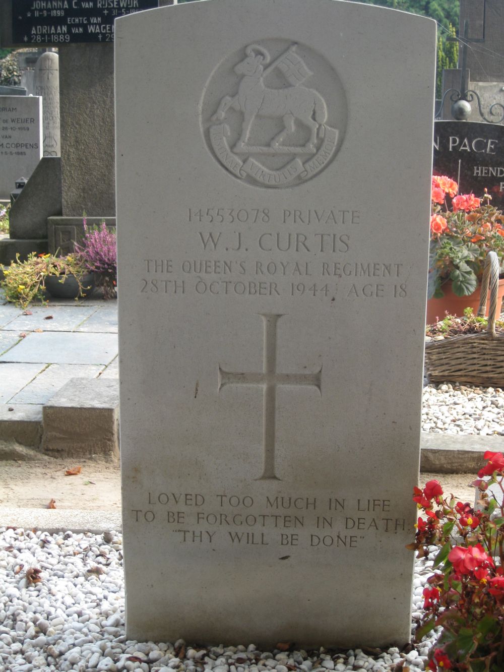 Curtis.JPG