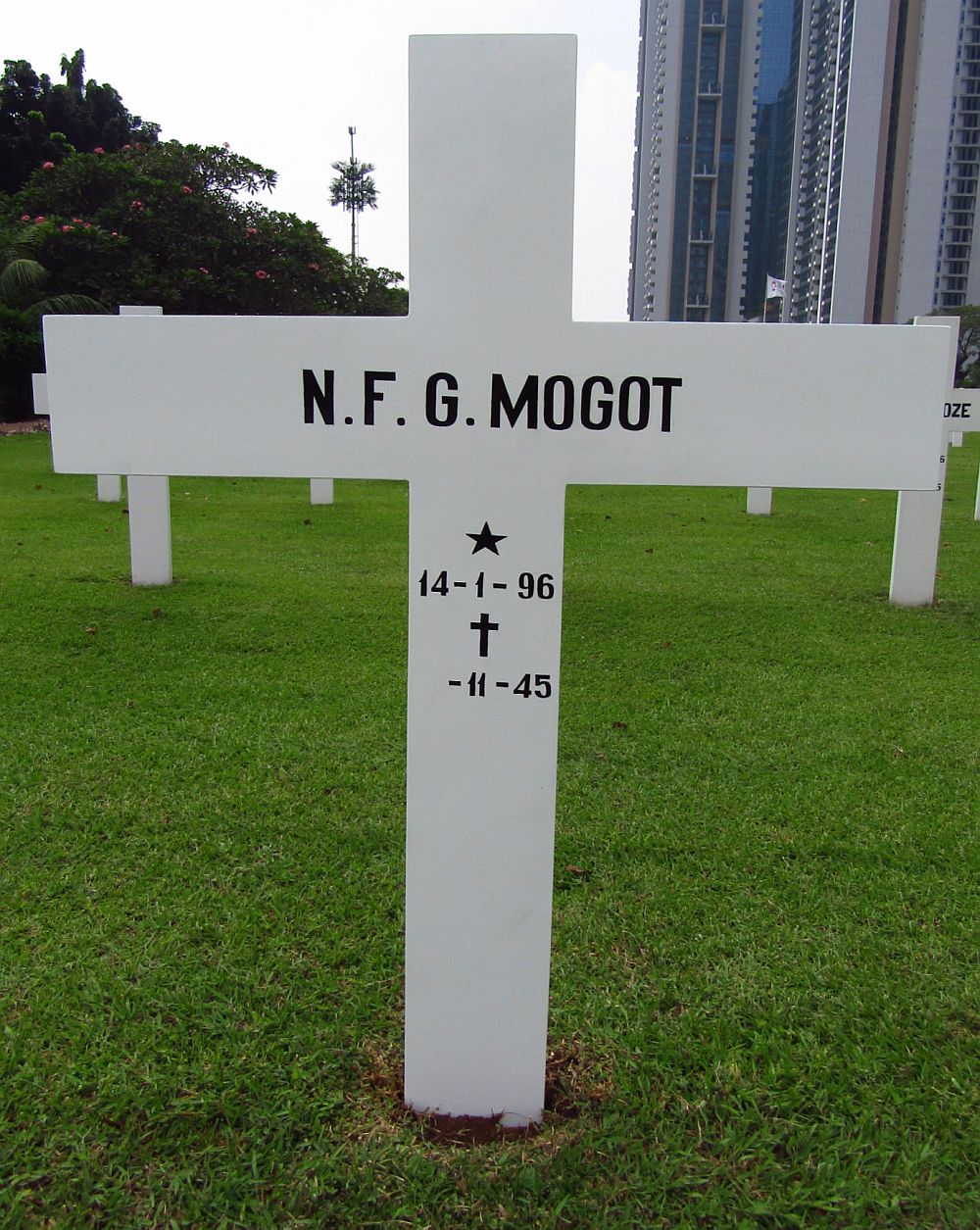 mogot.jpg