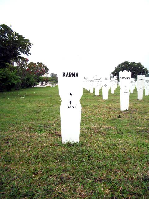 karma.2005.jpg