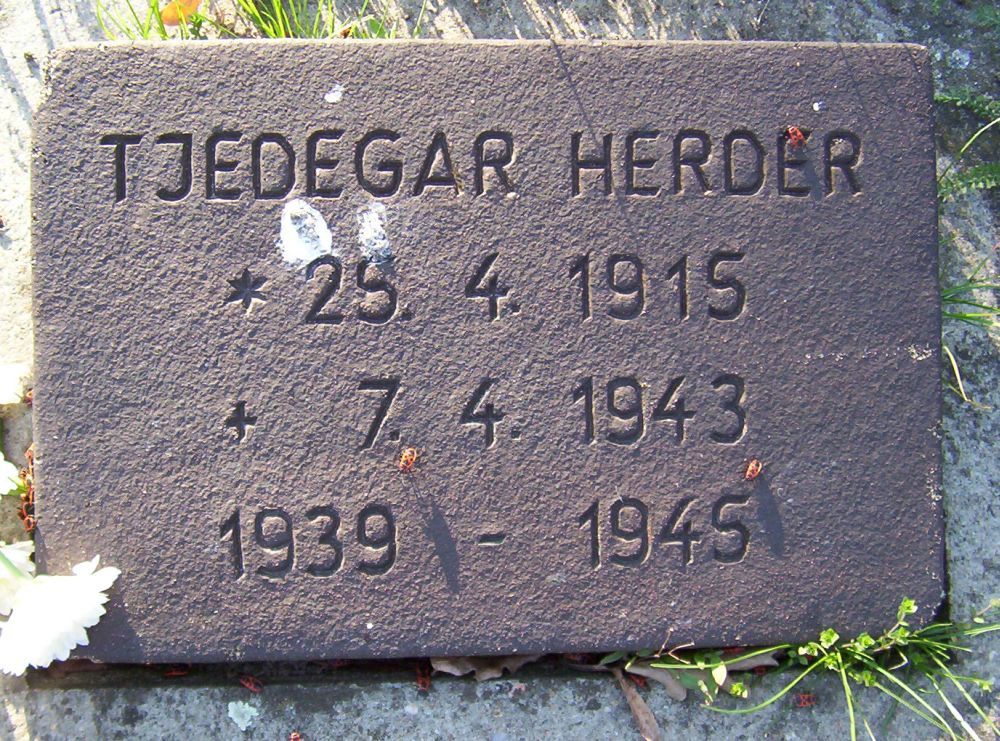 herder.t.2010.jpg