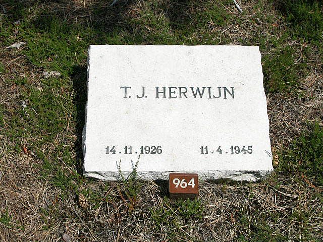 T.J.Herwijn.jpg